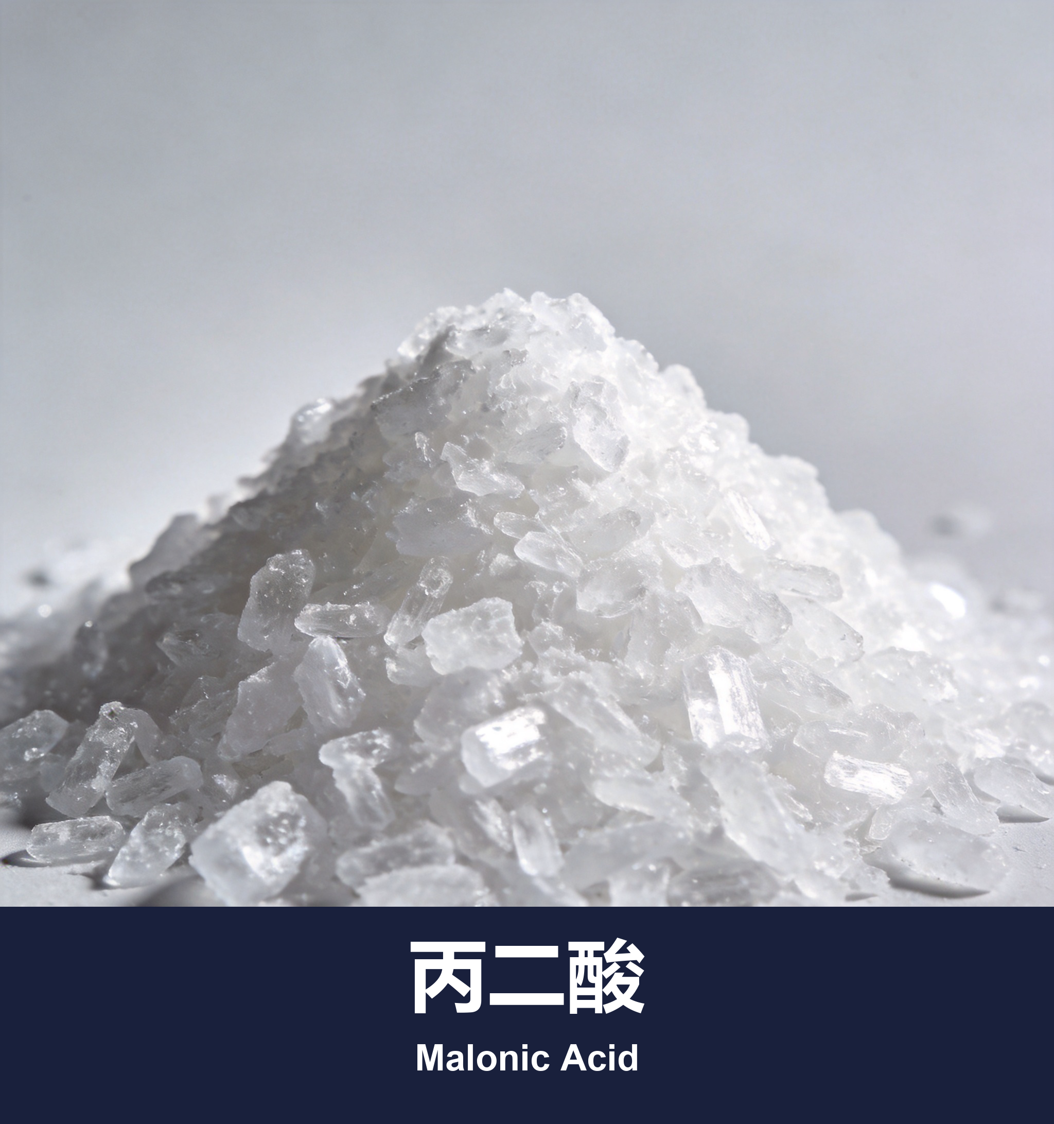 丙二酸