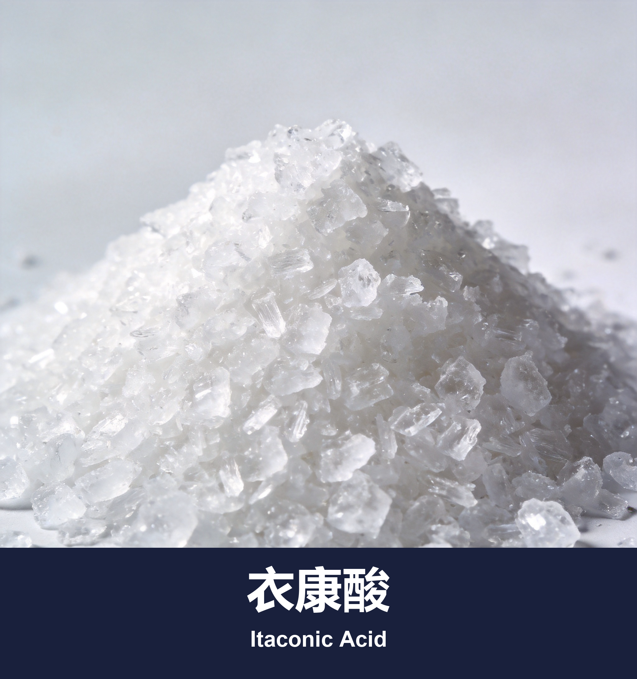 衣康酸