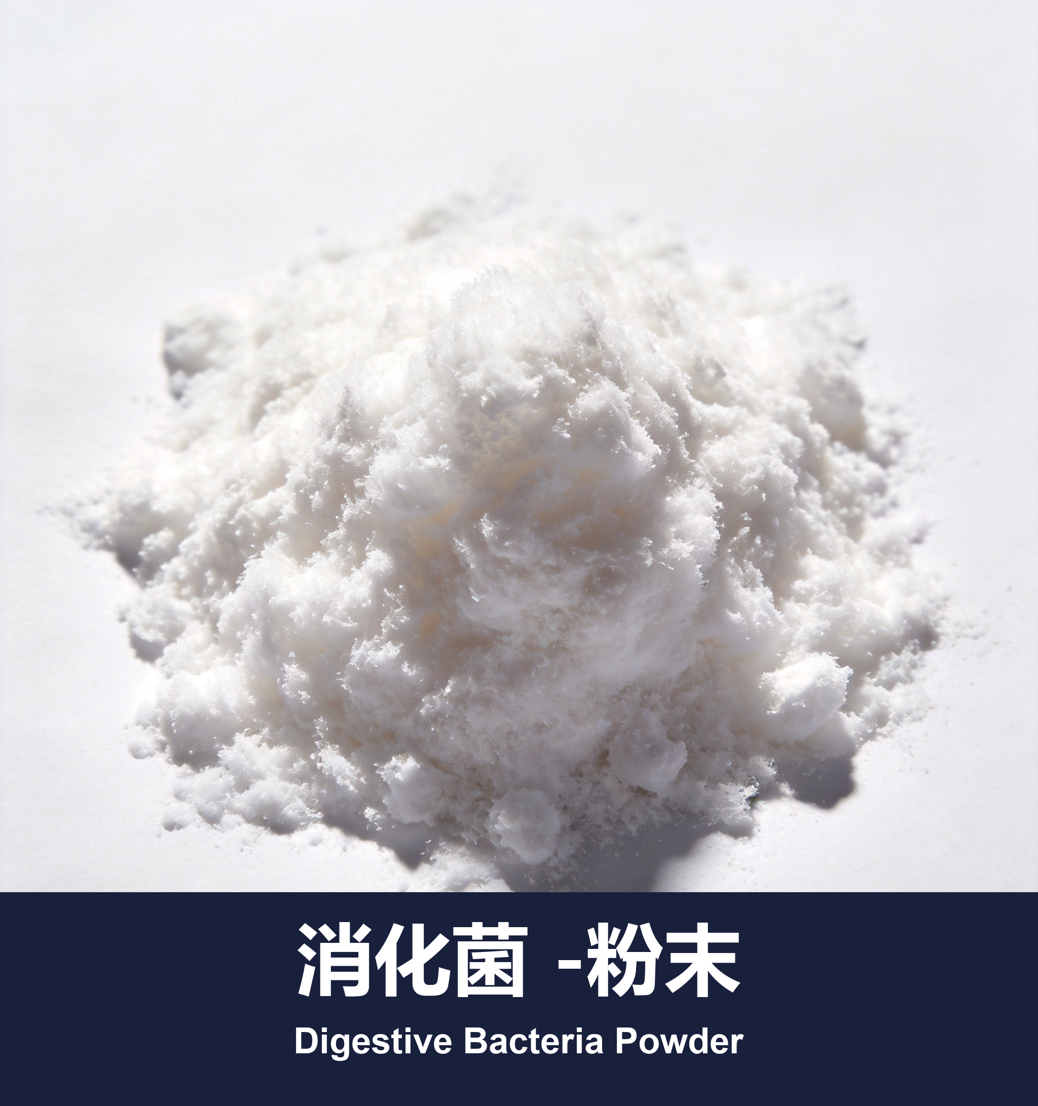 消化菌 -粉末