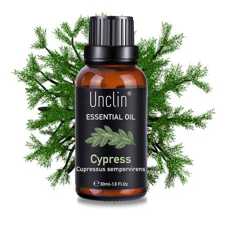 絲柏        CYPRESS