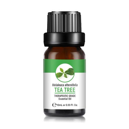 茶樹     TEA TREE OIL