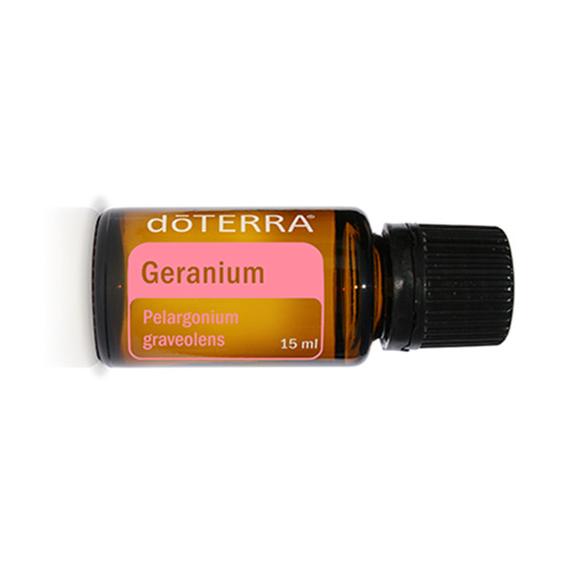 天竺葵      GERANITM
